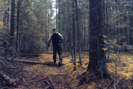 Купить диплом Егеря, лесника в Новосибирске