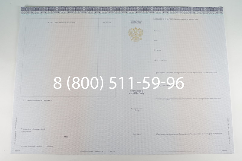 Диплом бакалавра (Киржач) 2014-2024 года в Новосибирске