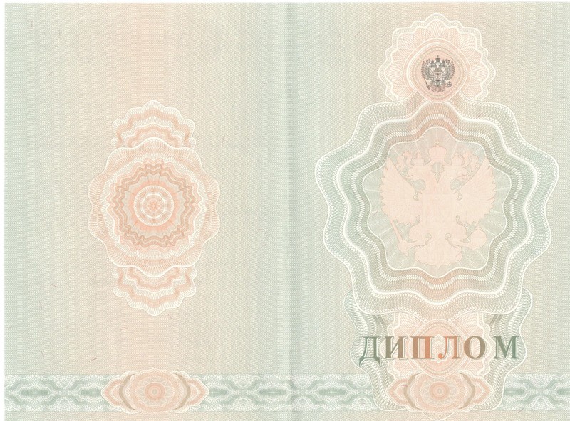 Купить Диплом о начальном образовании 2007-2009 годов в Новосибирске Купить Диплом о начальном образовании 2007-2009 годов в Новосибирске