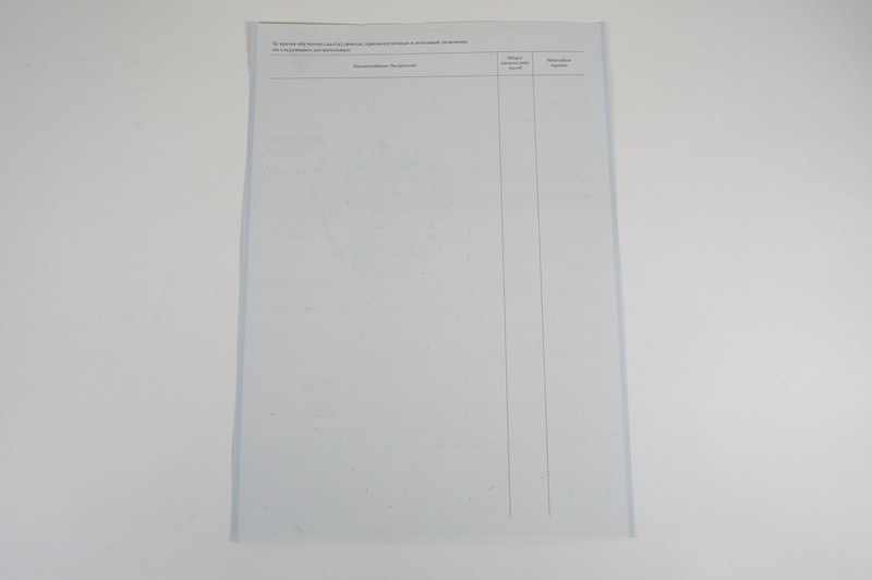Диплом о начальном образовании 2007-2009 годов в Новосибирске Диплом о начальном образовании 2007-2009 годов в Новосибирске